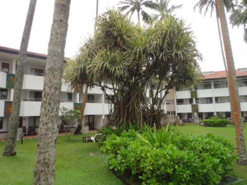 Tangerine Beach Hotel Kalutara Exterior photo